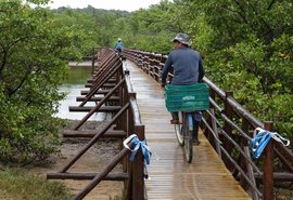 Governo de Alagoas entrega obra da ponte sobre o rio Tatuamunha em Porto de Pedras
