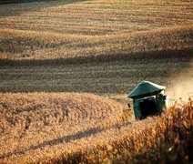 Valor da Produção Agropecuária fecha 2022 em R$ 1,189 trilhão