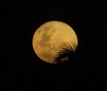 Primeira superlua de 2026 é observada no céu do Brasil neste sábado