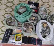 Polícia Civil prende três traficantes e apreende mais de 14 kg de maconha em Arapiraca