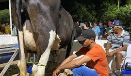 Campeões do Super Torneio Leiteiro apresentam produção acima de 100 quilos