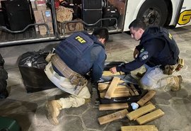 Mulheres que vinham da BA são presas com 85 kg de maconha dentro de ônibus