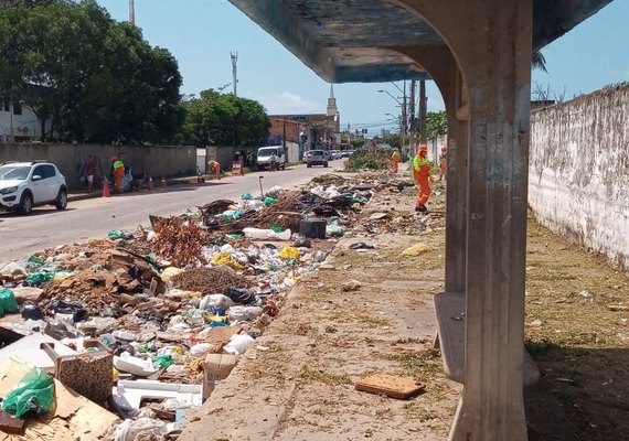 Ação da Prefeitura recolhe 85 toneladas de resíduos e planta 120 mudas de árvores no bairro da Ponta Grossa