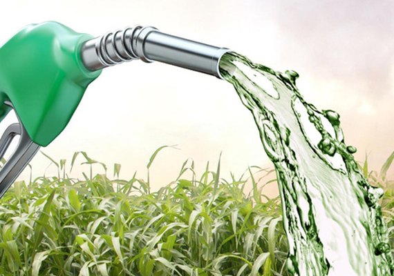 Produção acumulada de etanol volta a crescer na safra 19/20