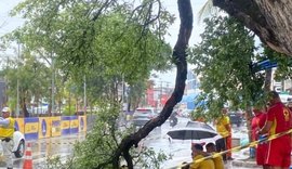 Mulher é atingida por galho de árvore e fica ferida na Pajuçara em Maceió