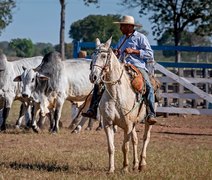 Seleção genética Capão de Angico oferta cabeceira do nelore do Pantanal