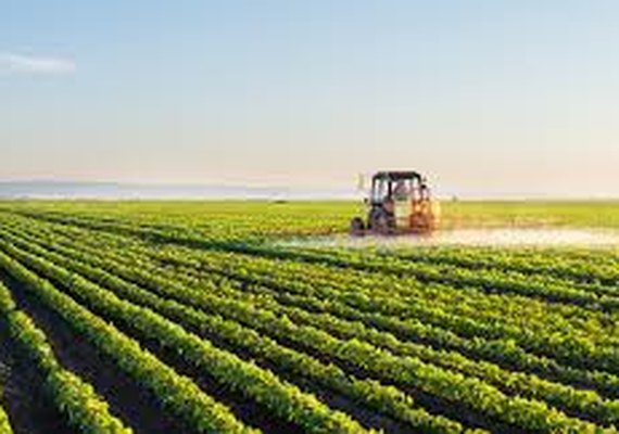 Valor da Produção Agropecuária de 2018 é estimada em R$ 530,1 Bi