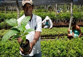 Conab abre inscrições para formar estoques da agricultura familiar