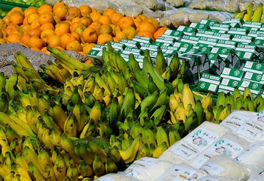 Lei amplia garantias para financiamentos do Pronaf