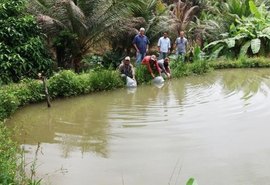 AL recebe 50 mil alevinos para a venda e sustento de comunidades