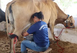 Genética da agricultura familiar mostra potencial no torneio leiteiro da Expo Bacia