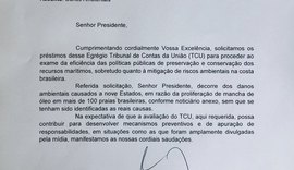 Renan Calheiros pede auditoria no TCU sobre vazamento de óleo no Nordeste