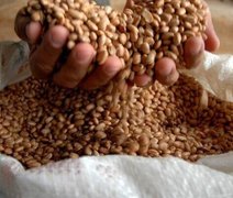 Brasil pode superar EUA e liderar exportações agrícolas globais