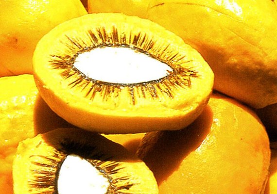 Lula sanciona projeto que estimula produção de frutos do Cerrado