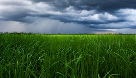 Previsão nesta terça (15) é de chuva acima dos 60 mm sobre o litoral Norte do Nordeste