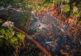 Aprovada proposta que permite derrubada de mata nativa para obras de irrigação no campo