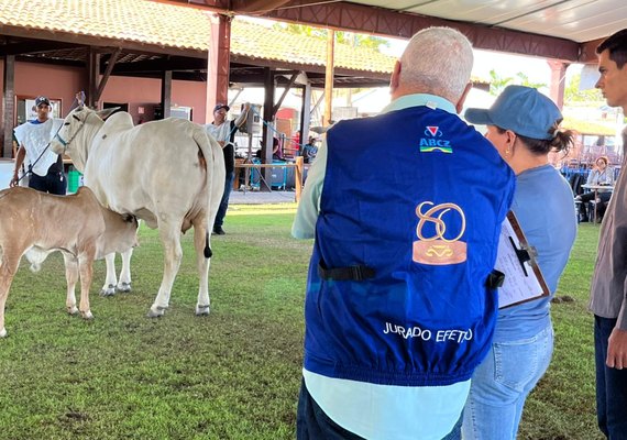 Julgamentos movimentam Parque da Pecuária  nesta  quinta (26)