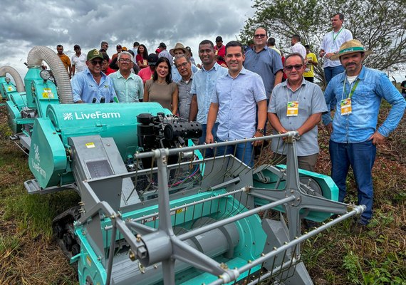 Produção de Arroz tem perspectivas positivas no Baixo São Francisco alagoano