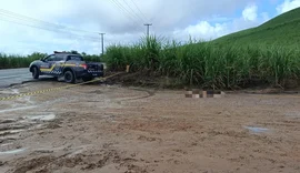 Homem é encontrado esquartejado em estrada no Norte de Alagoas