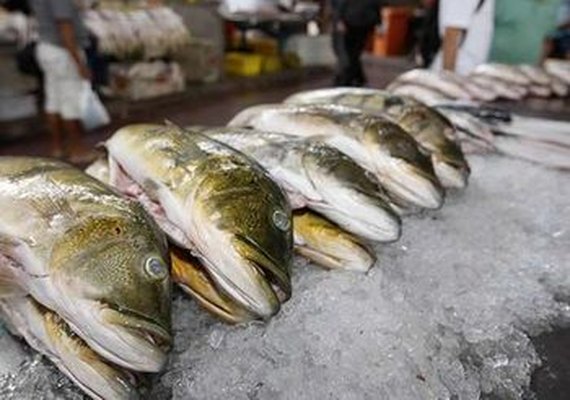 Semana Santa: Confira os preços dos pescados após pesquisa do Procon
