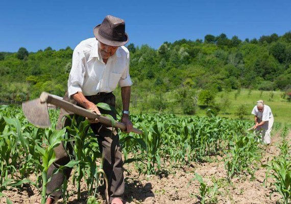 Agricultura familiar pede revisão de critérios do Pronaf