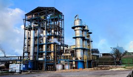 Cooperativa Pindorama abre a safra 26/27 em Alagoas