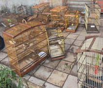 PM-AL intensifica combate a crimes ambientais, tráfico de drogas e porte ilegal de arma na capital e no interior