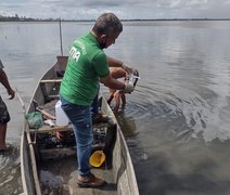 Ministério Público Federal requer abertura de inquérito para investigar mortandade de peixes no Flexal