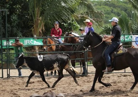 Expoagro 2025: prova de Ranch Sorting contará com categoria oficializada pela ABQM