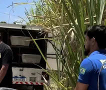 Jovem é encontrado morto com tiros e golpes de facão em canavial