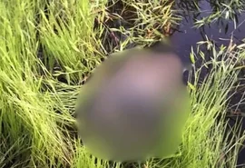 Corpo esquartejado é encontrado enrolado em lona em lago no interior de Alagoas