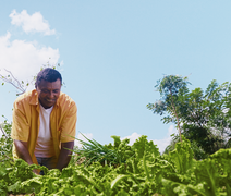 Programa Garantia-Safra libera pagamento para 10 mil agricultores alagoanos