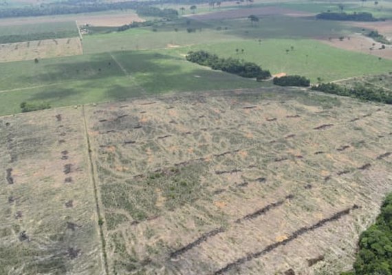 BNDES vai cortar financiamento de produtor rural flagrado desmatando irregularmente