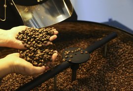 Conflito no Oriente Médio ameaça produção agrícola e encarece fertilizantes
