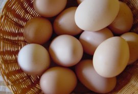 Ovos são fundamentais para desenvolvimento infantil