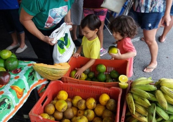 Agricultores de AL realizam mais uma edição da Feira Orgânica na Praia no domingo (12)