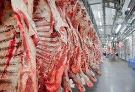 Preço da carne continua alto mesmo com embargo chinês