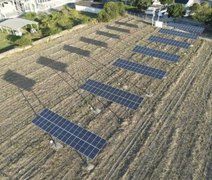 Ufal desenvolve projeto que combina energia solar para impulsionar cultivo de cana