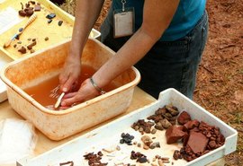 Achado revela uso de dados por nativos norte-americanos há mais de 12 mil anos