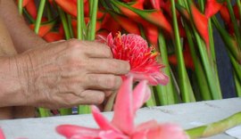 Curso ensina técnicas e manuseio de flores tropicais