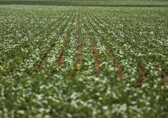 Reunião entre governo e bancada do agro termina sem acordo sobre dívidas rurais