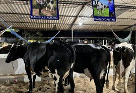 41ª Expo Bacia vai democratizar genética leiteira