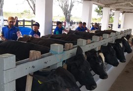 Expo Bacia: Criadores participam de curso de inseminação artificial em bovinos