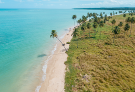 Bandeira Azul: Praia do Patacho recebe renovação do título internacional de sustentabilidade