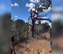 Aeronave da dupla Henrique e Juliano cai em fazenda no Tocantins