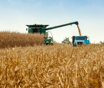 Cédulas de Produto Rural totalizam R$ 561 bilhões em fevereiro