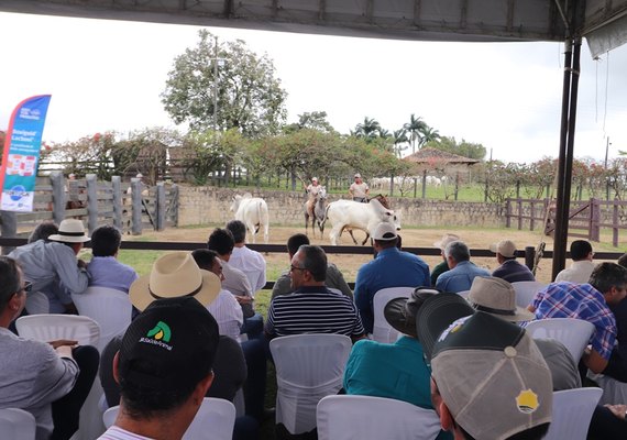 IBC apresenta animais que estarão disponíveis do 21º Leilão Nelore Barros Correia