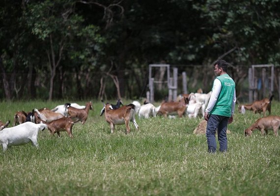 Ações e programas do Senar Alagoas beneficiam mais de 21 mil pessoas em 2022