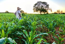 Governador de AL encaminha à ALE projetos de lei que beneficiam a agricultura familiar no estado