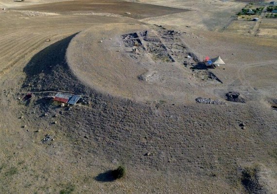 Arqueólogos descobrem flor rara de Ancara preservada há 4 mil anos em sítio